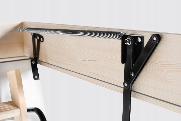 54b717564709920d601665396995