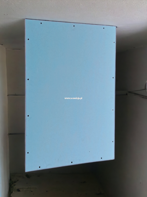 PhotoRoom-20230727_131251.png